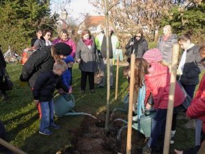 Plantation d'un arbre pour le climat au Parc De Gaulle