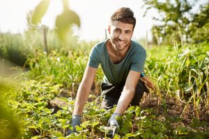 Co-jardinage: un site pour partager un bout de jardin