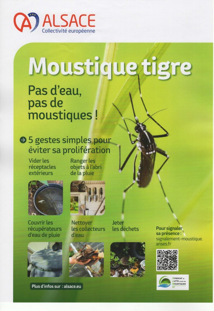 Lutte contre le MOUSTIQUE TIGRE