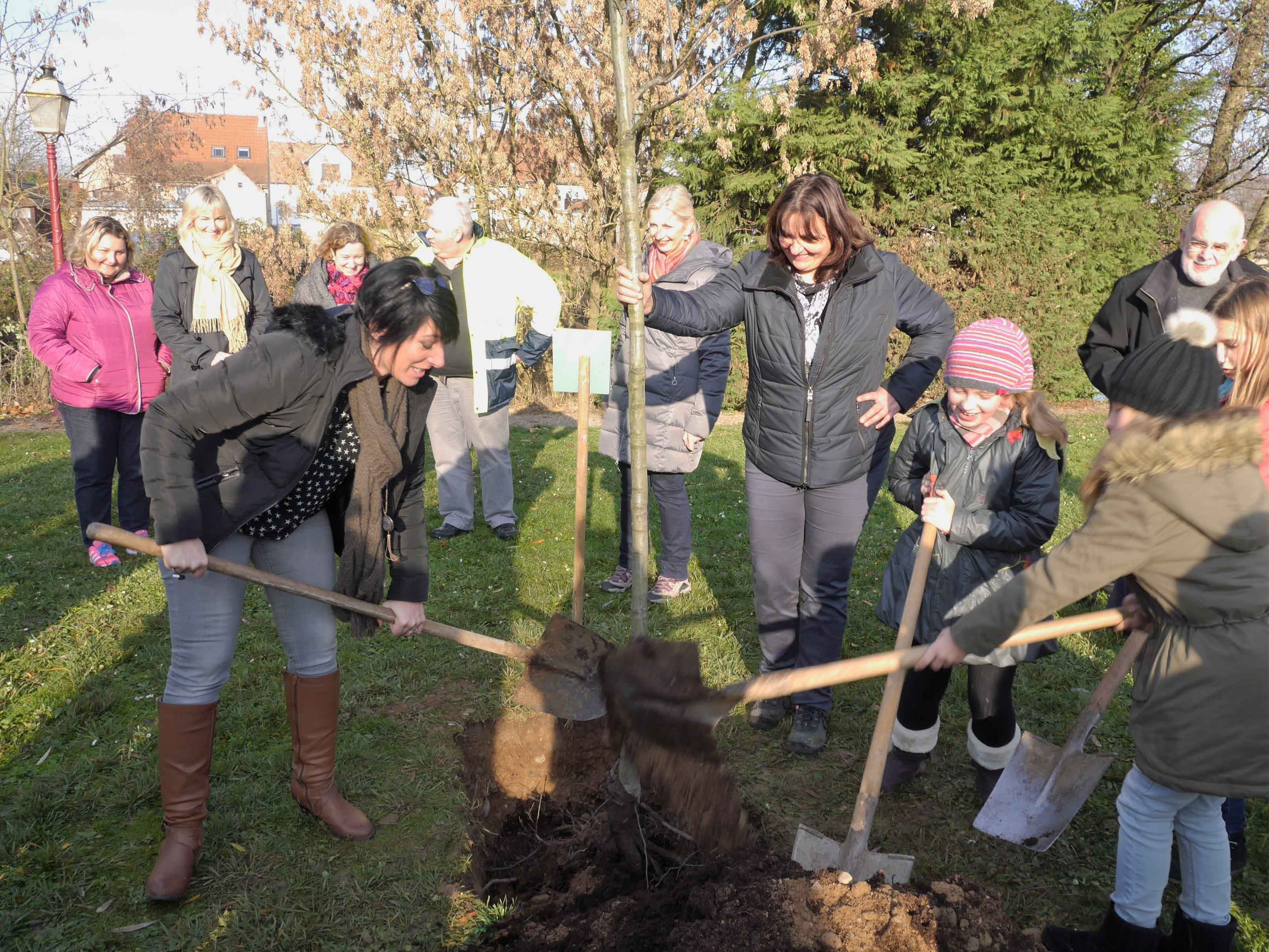 trois_libellules_espace_biodiversite_005